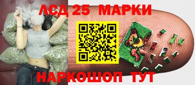 амф Кулебаки