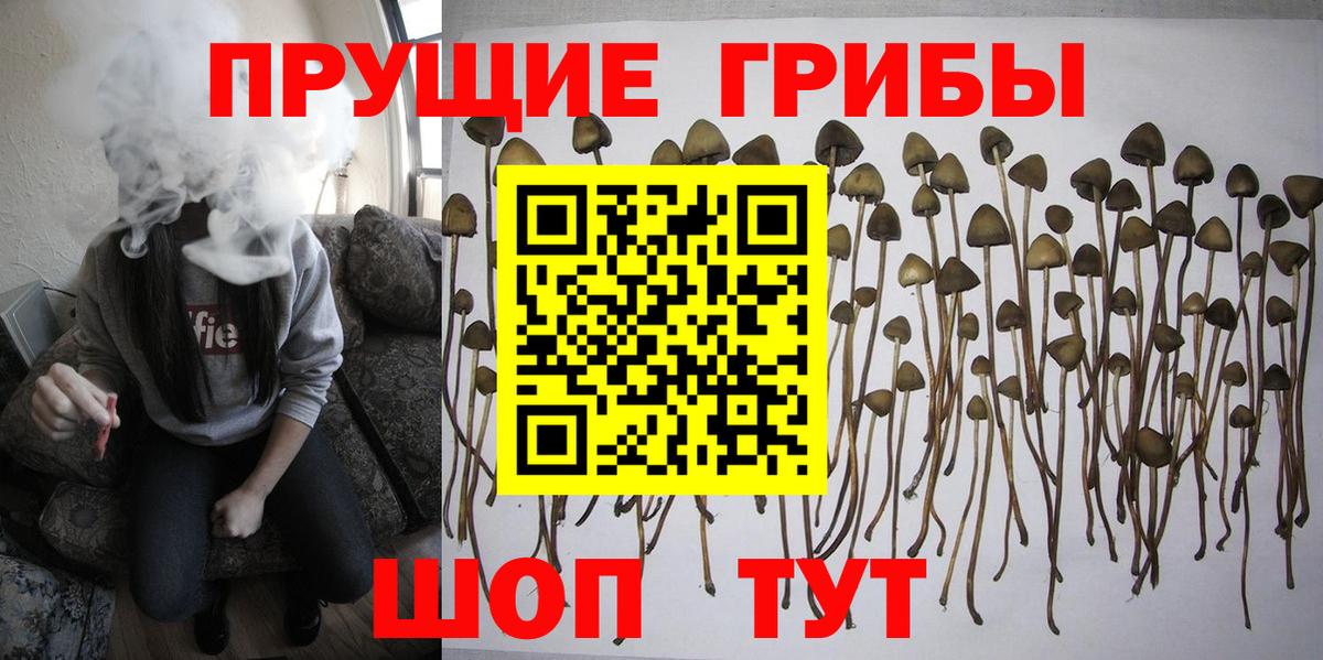 Псилоцибиновые грибы Psilocybe  Вход с VPN  дарнет шоп  Елабуга 