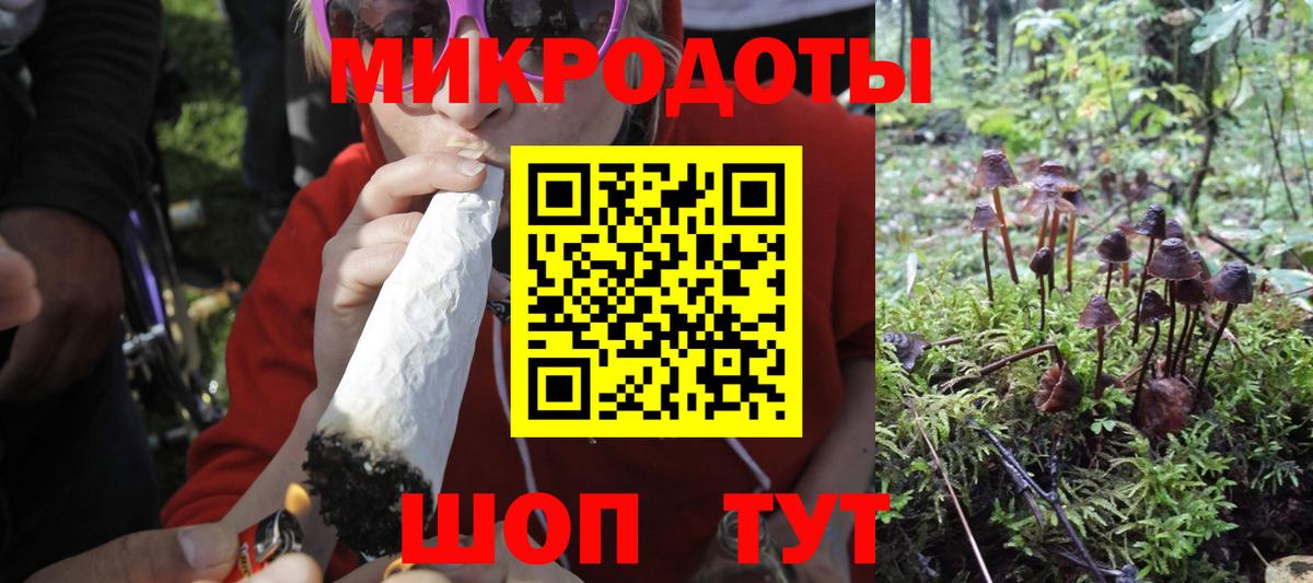 Псилоцибиновые грибы мухоморы Елабуга